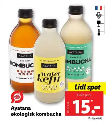 Ayatana kombucha