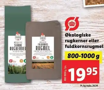 Økologiske rugkerner el. fuldkornshvedemel