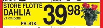 ABC Lavpris Dahlia tilbud