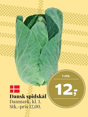 Dagli'Brugsen Dansk spidskål tilbud