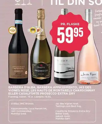 Barbera D´Alba, Barbera Appassimento, Jas Des Vignes Rosé - Flere varianter