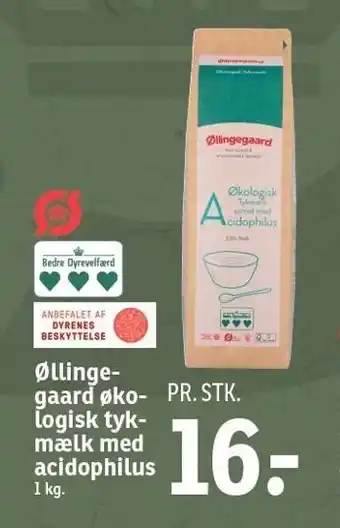 SPAR Øllingegaard økologisk tykmælk md acidophilus tilbud