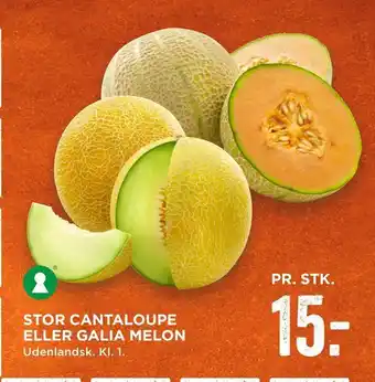 Stor cantaloupe eller galia melon