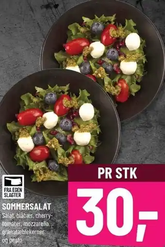 Løvbjerg Sommersalat tilbud