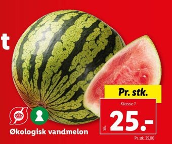 Lidl Økologisk vandmelon tilbud