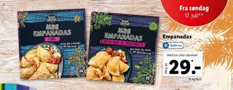 Lidl Empanadas tilbud