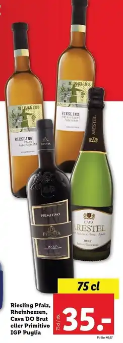 Lidl Riesling Pfalz, Rheinhessen, Cava DO Brut el. Primitivo IGP Puglia tilbud