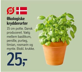 Føtex Økologiske krydderurter tilbud