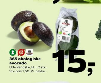 365 økologiske avocado