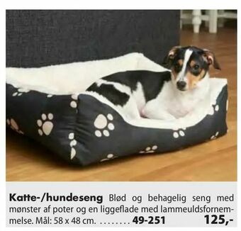 Katte-/hundeseng