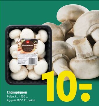 Champignon