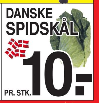 Spidskål