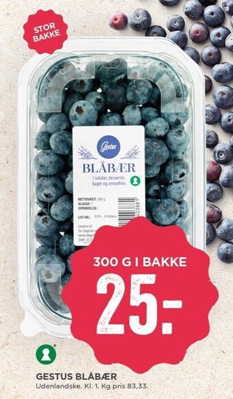 MENY Blåbær tilbud
