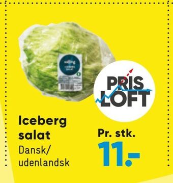 Iceberg salat