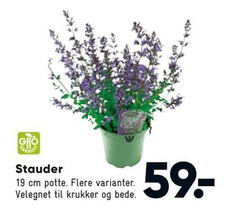 Bilka Stauder tilbud