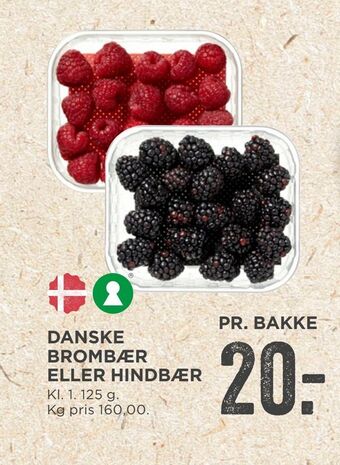 MENY Danske brombær eller hindbær tilbud