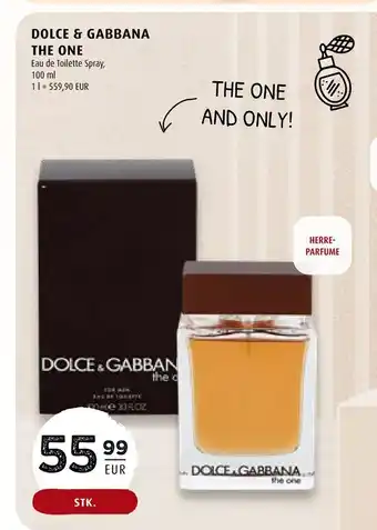 Scandinavian Park Dolce & gabbana the one tilbud