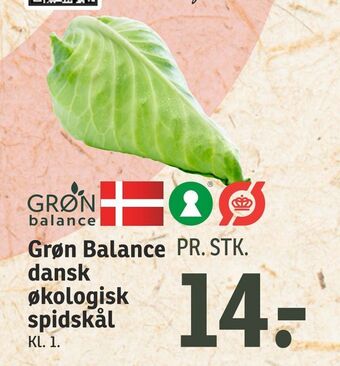 SPAR Grøn Balance dansk økologisk spidskål tilbud