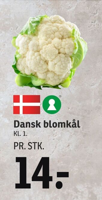 Dansk blomkål