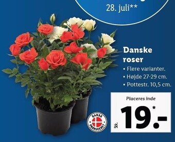 Lidl Roser tilbud
