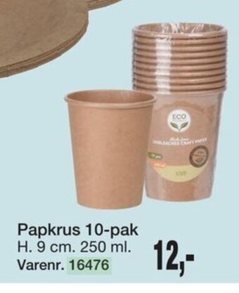 Papkrus 10-pak