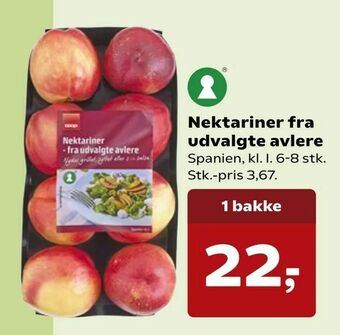 Nektariner fra udvalgte avlere