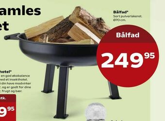 Bålfad