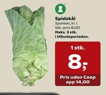 SuperBrugsen Spidskål tilbud