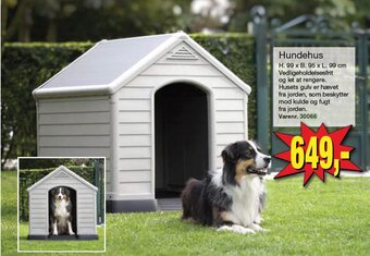 Hundehus
