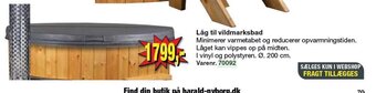 Harald Nyborg Låg til vildmarksbad tilbud
