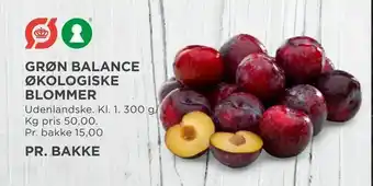 MENY Grøn balance økologiske blommer tilbud