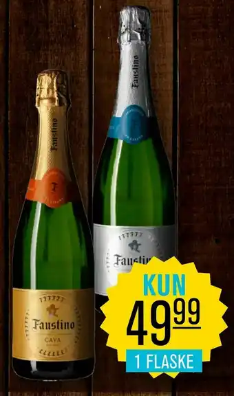Faustione cava