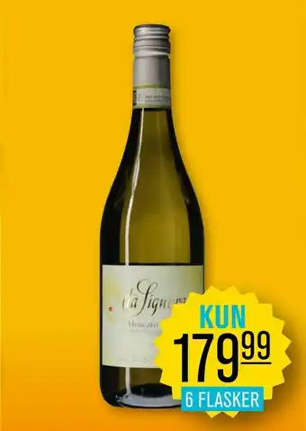 La signora moscato