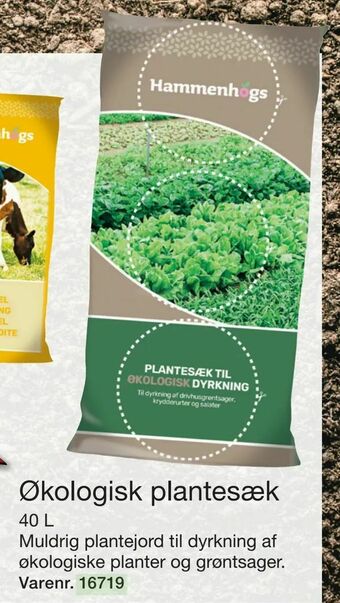 Harald Nyborg Økologisk plantesæk tilbud