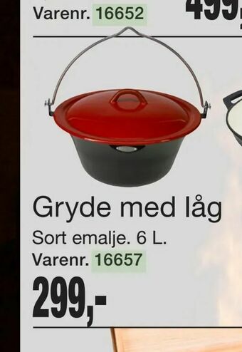 Harald Nyborg Gryde med låg tilbud