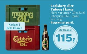 Dagli'Brugsen Carlsberg eller tuborg 1 kasse tilbud