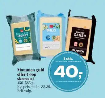 Mammen guld eller coop skæreost