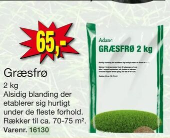 Harald Nyborg Græsfrø tilbud