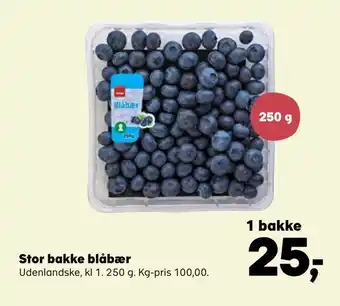 SuperBrugsen Stor bakke blåbær tilbud