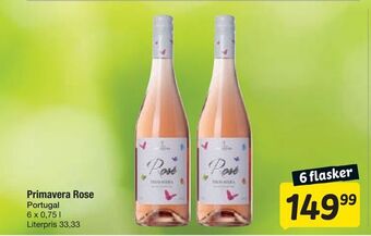 Fakta Tyskland Primavera rose tilbud