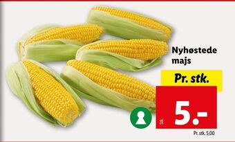 Lidl Nyhøstede majs tilbud