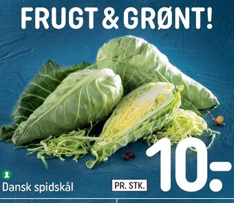 Spidskål