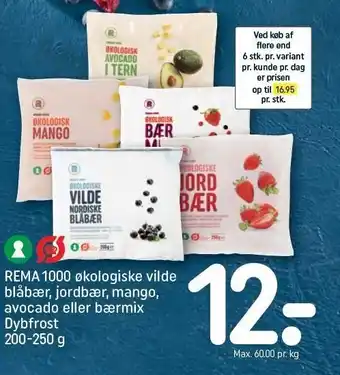 REMA 1000 Øko frostne bær el. frugt tilbud