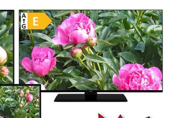 Harald Nyborg 43" full hd android smart led tv tilbud