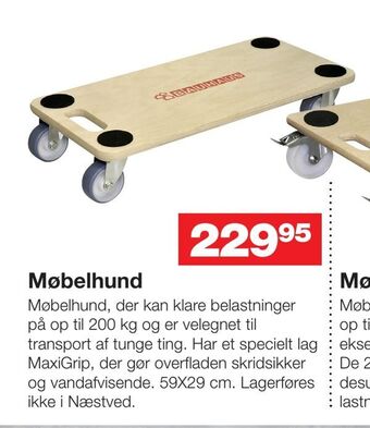 Møbelhund