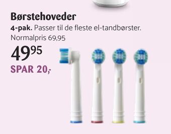 Børstehoveder