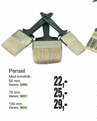 Pensel