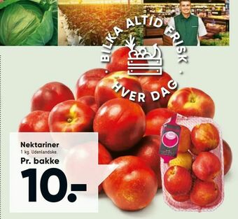 Nektariner