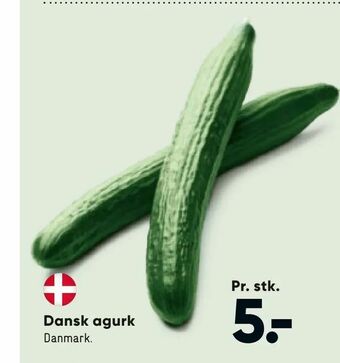 Bilka Dansk agurk tilbud