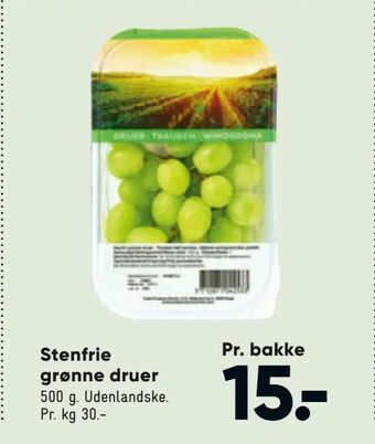 Bilka Stenfrie grønne druer tilbud